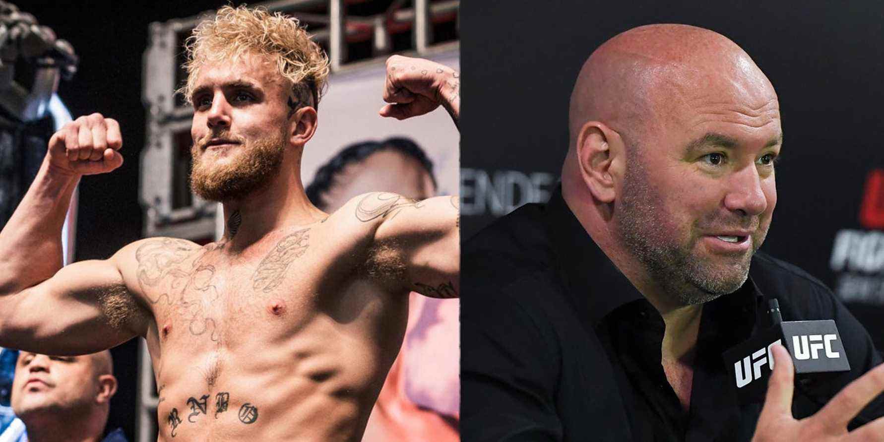 Expliquer la querelle de Jake Paul avec Dana White
