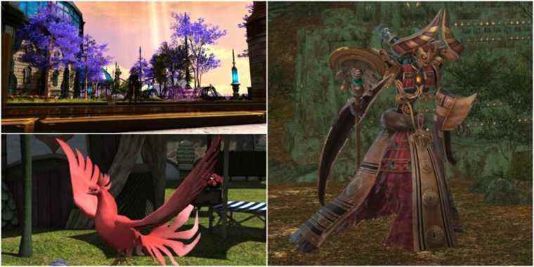 Final Fantasy 14: Shadowbringers - Guide de chasse aux clans Nutsy
