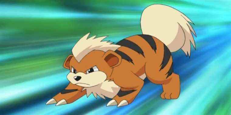 Growlithe est un bon et beau Pokémon Pupper qui n'est pas un flic
