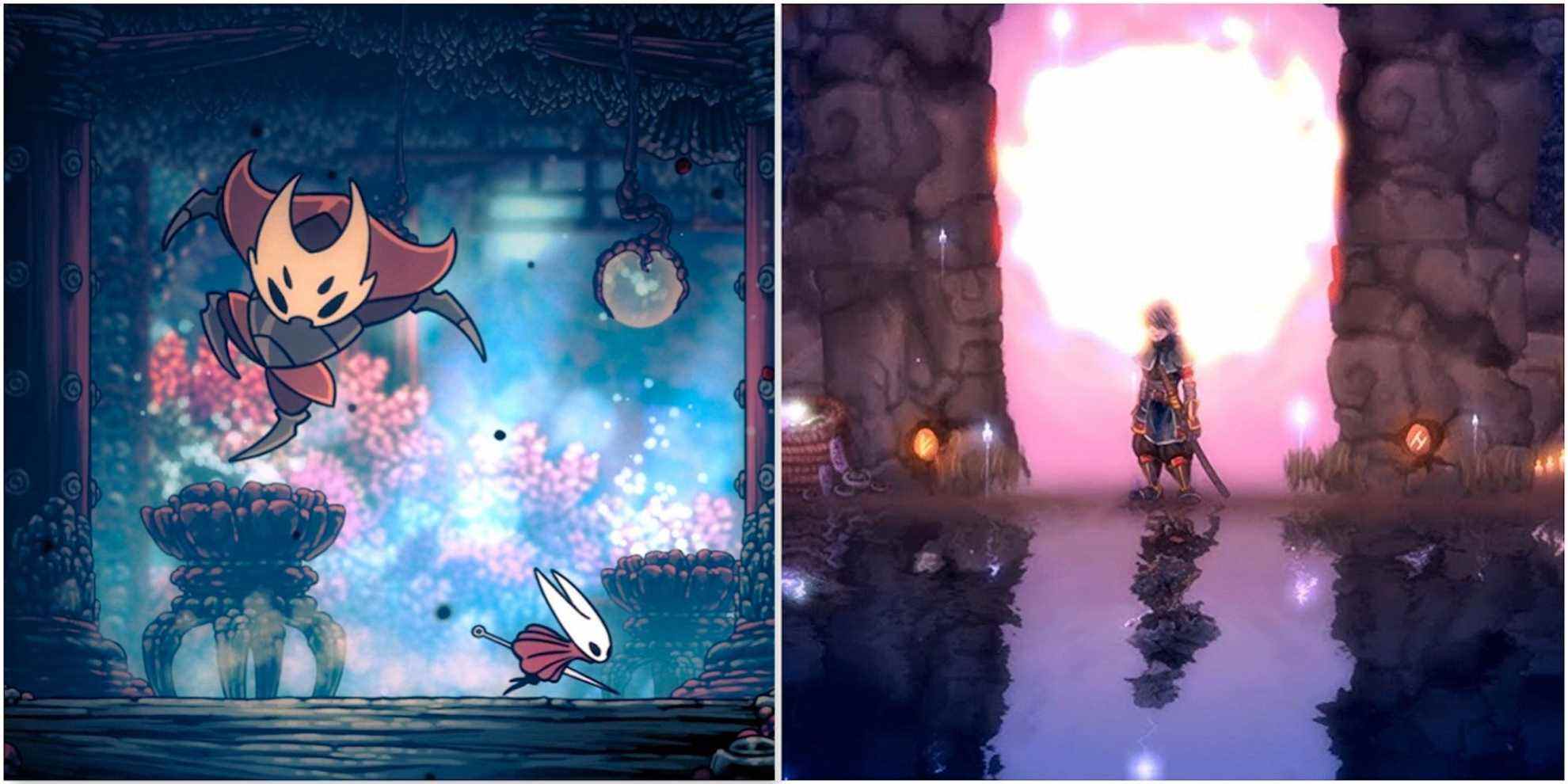 Hollow Knight Silksong et 7 autres Metroidvanias que nous espérons voir en 2022
