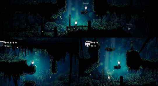 Hollow Knight : Silksong pourrait explorer un mode multijoueur officiel