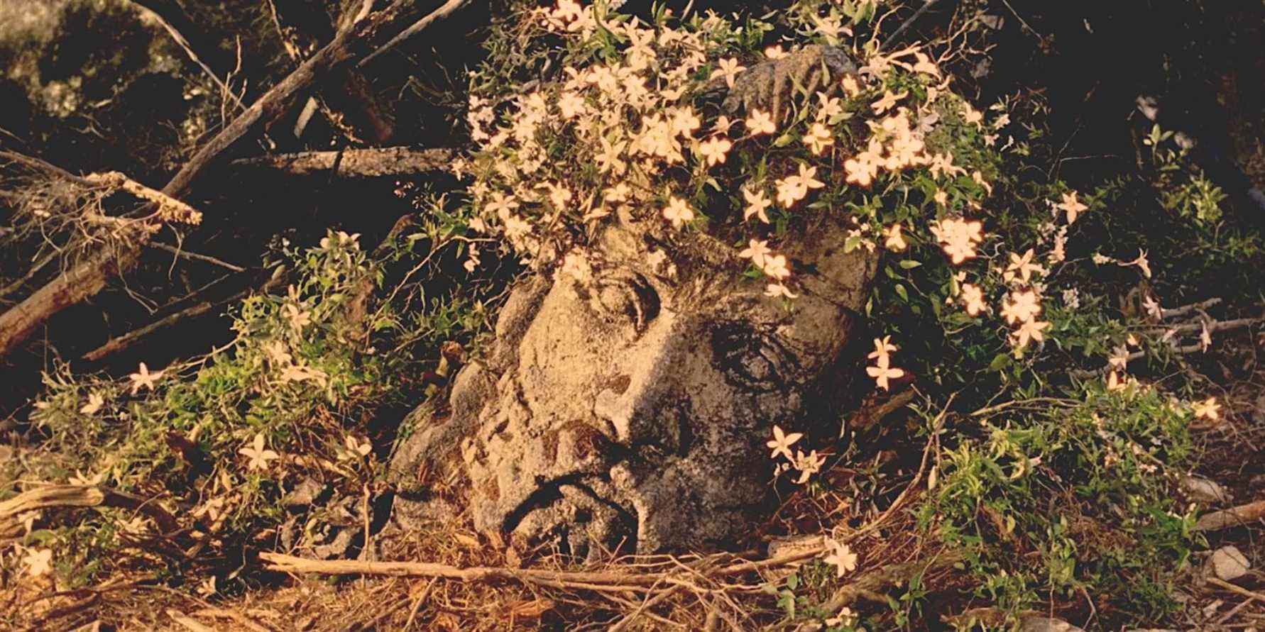 LOTR : Le roi a de nouveau une couronne, mais quel roi est représenté par la statue décapité ?
