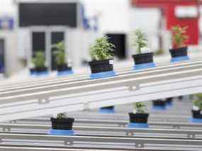 Green Growth Brands a tenté de racheter Aphria en 2019.