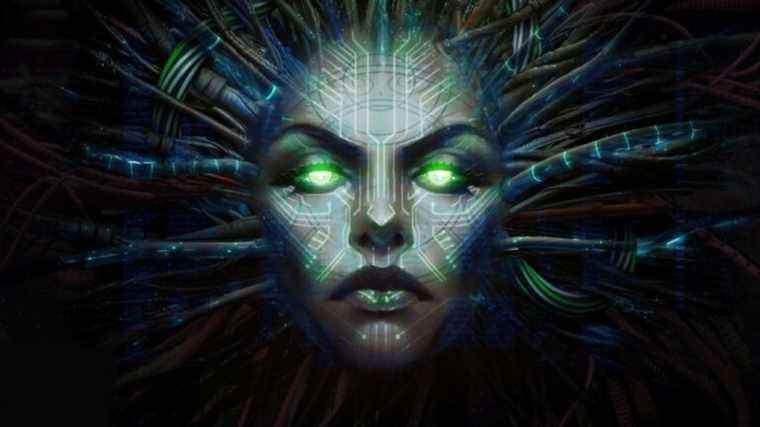 La série télévisée System Shock Live-Action trouve son directeur
