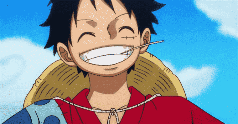 L'anime "le plus populaire" dans chaque État américain confirme que le monde aime One Piece
