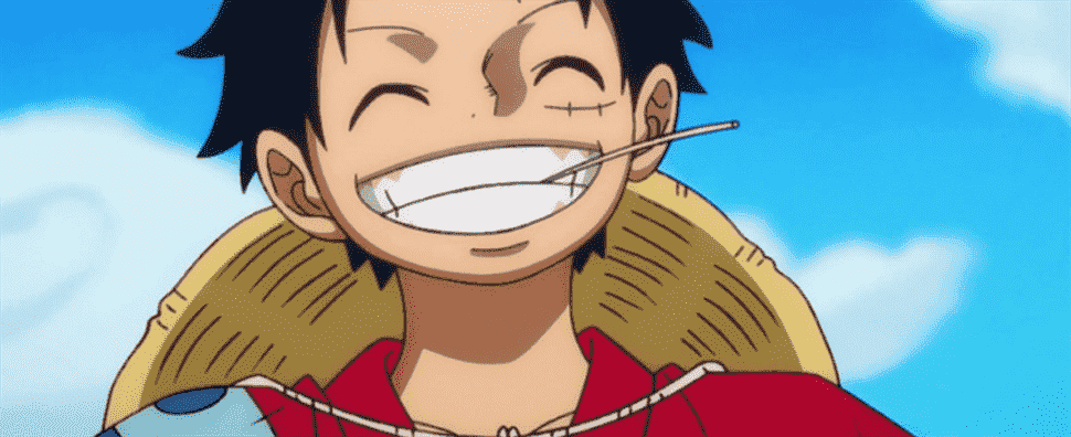 L'anime "le plus populaire" dans chaque État américain confirme que le monde aime One Piece