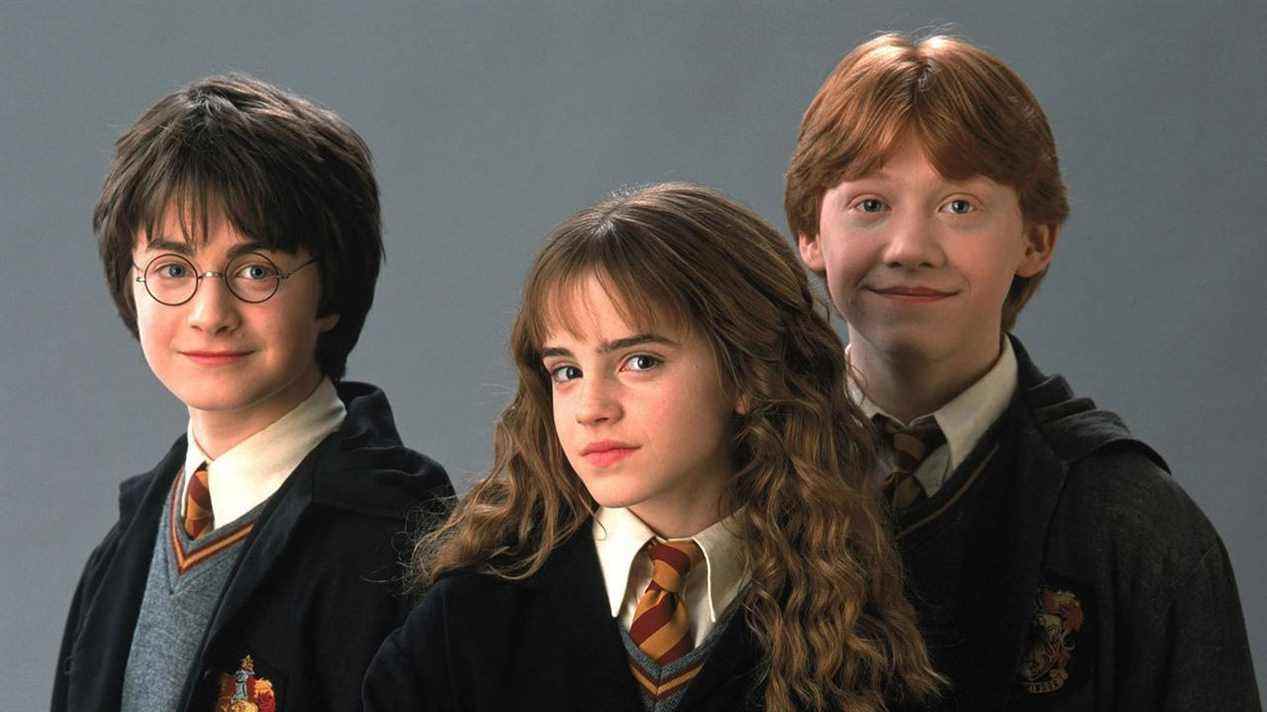 Le MMO Harry Potter a été annulé par EA au début des années 2000 parce qu'il pensait que l'IP ne durerait pas
