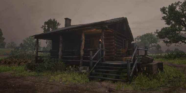 Le joueur de Red Dead Redemption 2 tombe sur un pépin terrifiant dans la cabine
