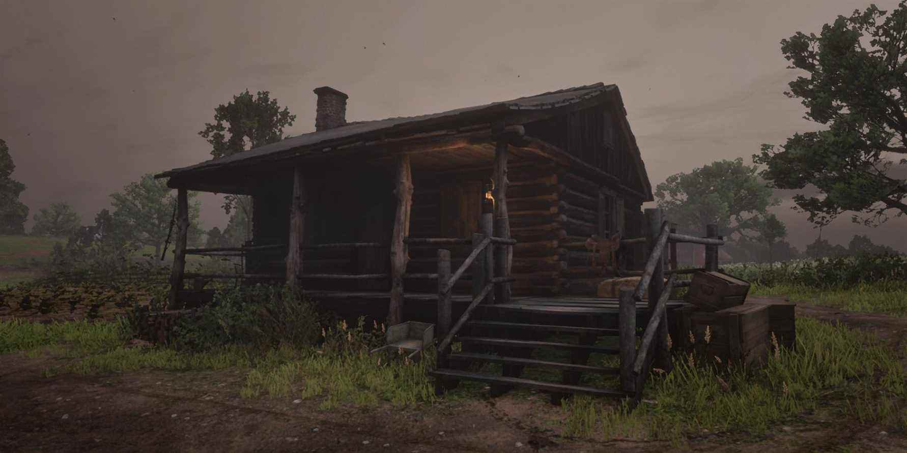 Le joueur de Red Dead Redemption 2 tombe sur un pépin terrifiant dans la cabine
