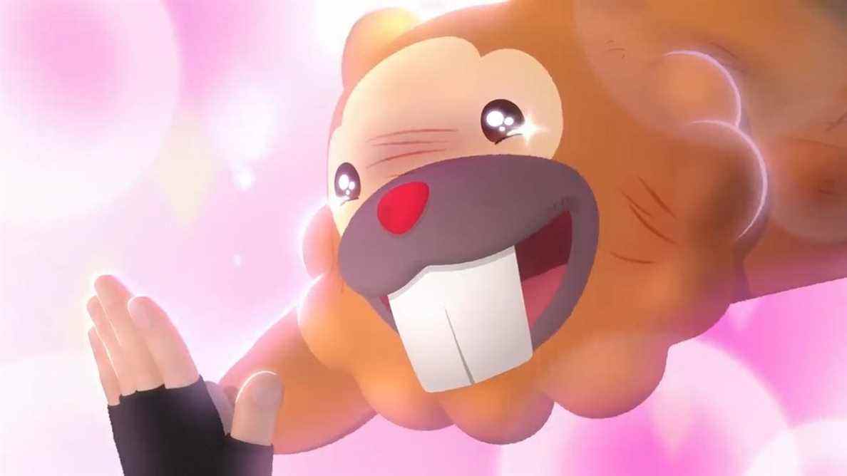 Le nouveau Pokémon Short donne enfin à Bidoof le respect qu'il mérite
