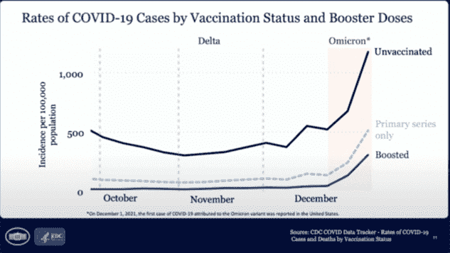 Efficacité du vaccin contre l'infection.