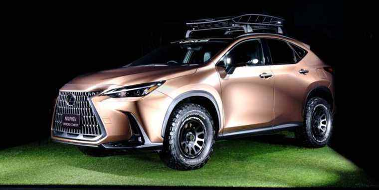 Lexus présente une paire de véhicules conceptuels « Offroad » Bronzy NX PHEV