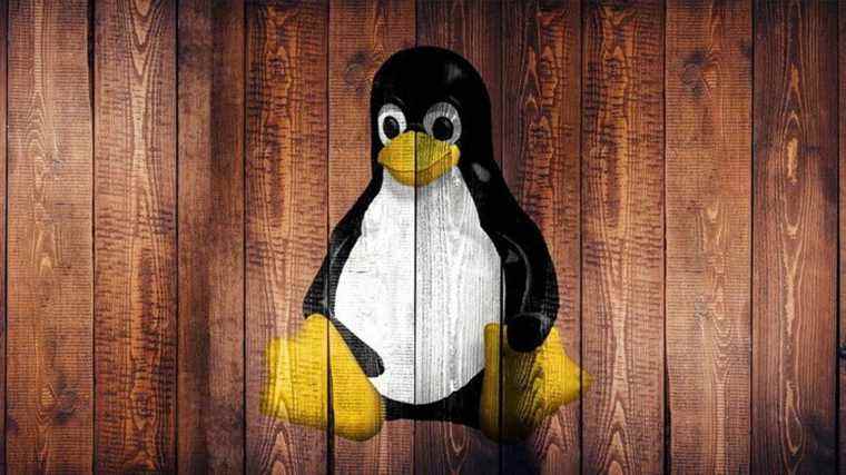 Linux : un développeur solo tente de nettoyer 30 ans de gâchis