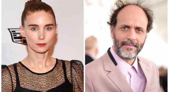 Rooney Mara, Luca Guadagnino