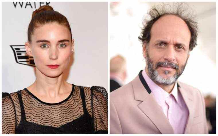 Rooney Mara, Luca Guadagnino