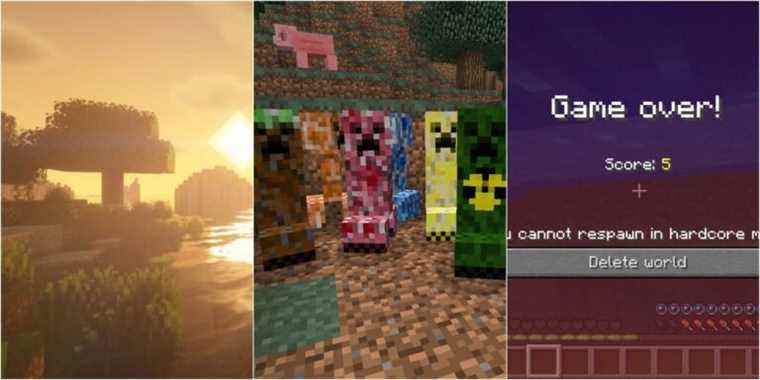 Minecraft : Bedrock Vs Java Edition – Quelles sont les plus grandes différences ?
