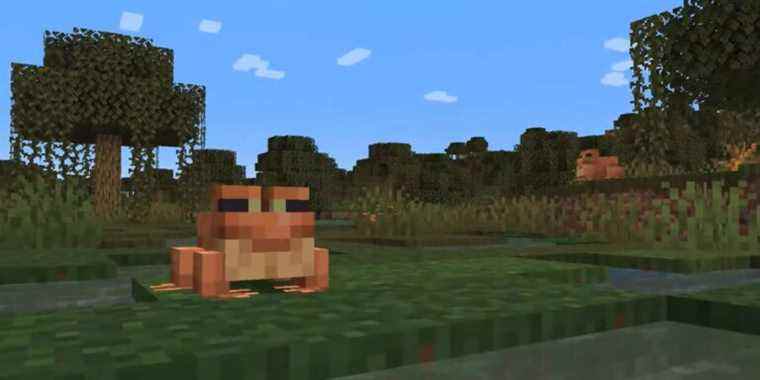 Minecraft Player fait une découverte choquante sur ce que mangent les grenouilles
