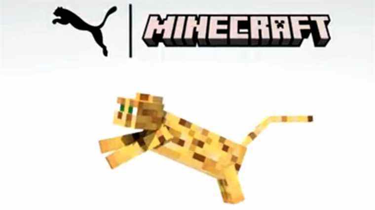 Minecraft obtient une collaboration avec Puma pour une raison quelconque
