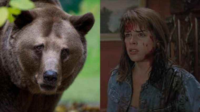 Neve Campbell, la dernière fille de Scream, a également survécu à une vraie attaque d’ours