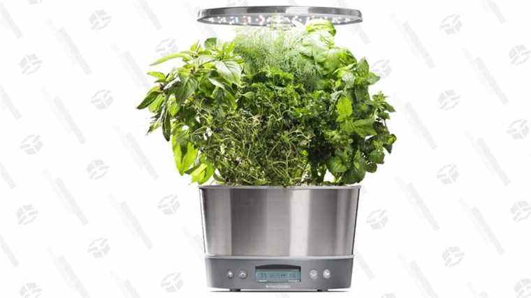 Obtenez un AeroGarden Harvest Elite 360 ​​pour 50% de réduction et personne n’est autorisé à vous demander pourquoi