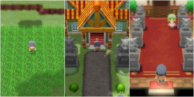 Pokemon Diamant Brillant & Perle Brillante: Guide Pokemon Mansion
