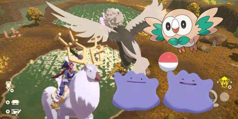 Pokemon Legends: Arceus pourrait approfondir les DLC et les extensions
