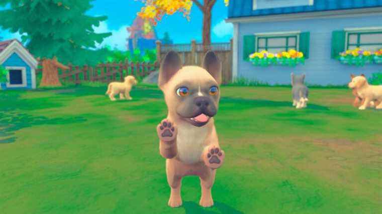 Puppies & Kittens est là pour combler le trou en forme de Nintendog dans nos vies