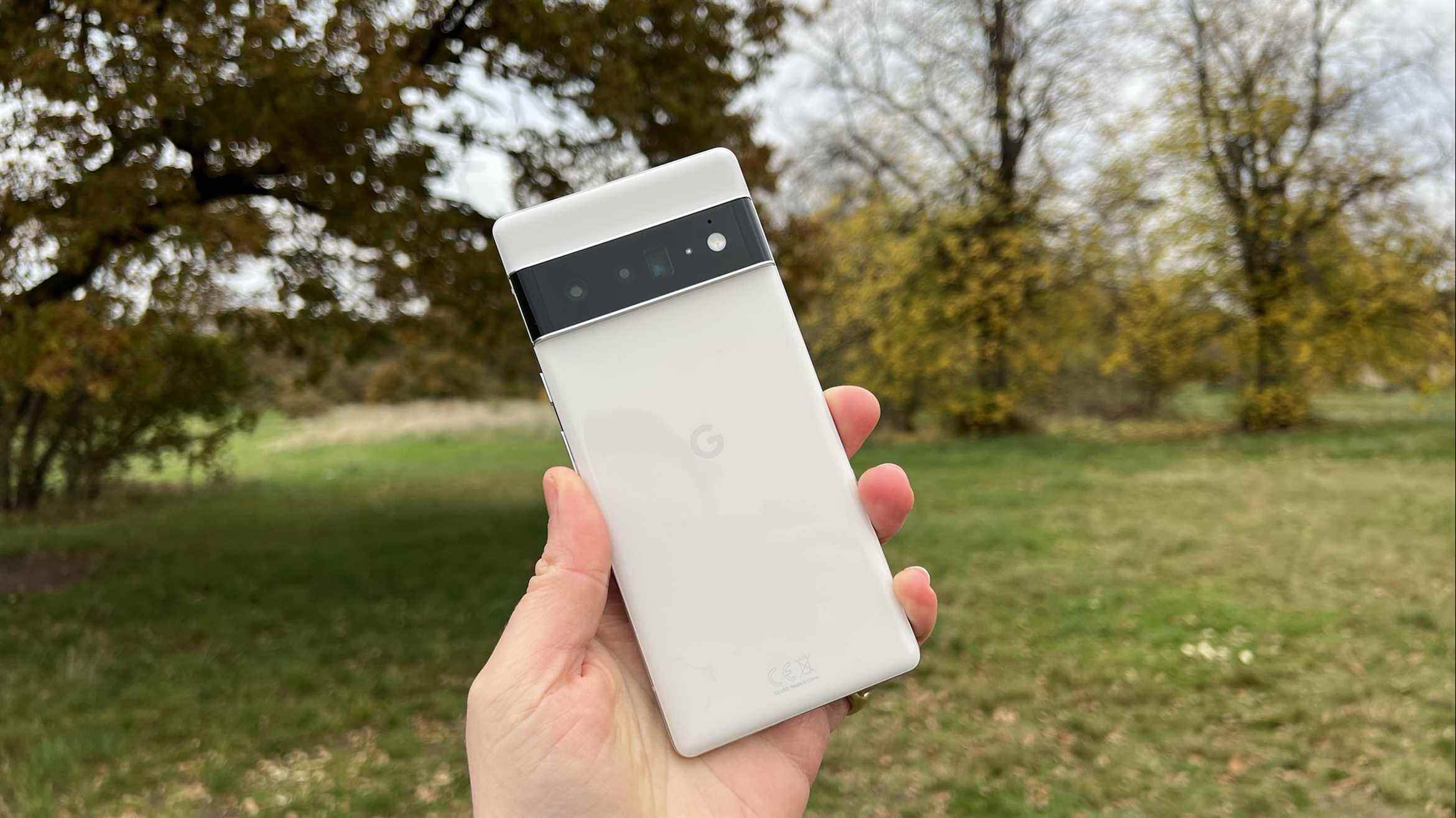 Une photo du Google Pixel 6 Pro