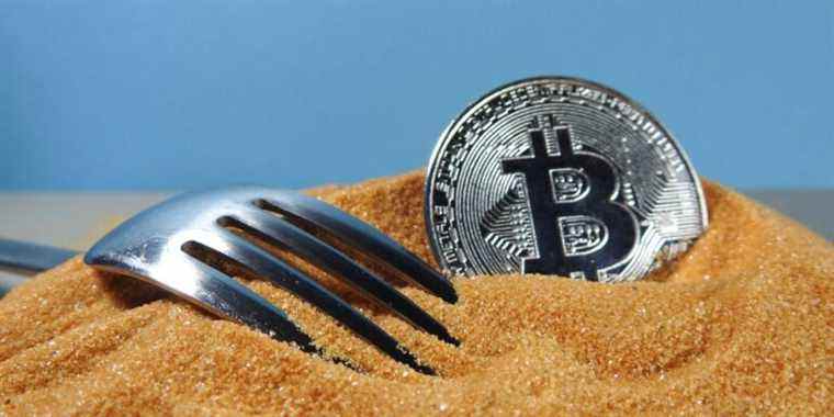 Soft Fork vs Hard Fork : quelle est la différence ?