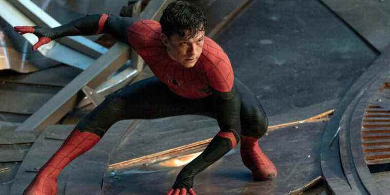 Spider-Man : le prochain film devrait être plus petit
