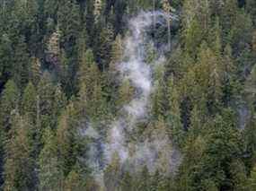 Les nuages ​​se déplacent parmi la forêt ancienne dans la zone d'exploitation forestière de Fairy Creek, près de Port Renfrew, en Colombie-Britannique.