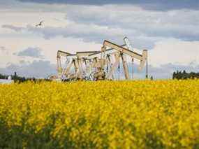 Les Pumpjacks tirent du pétrole du sol dans un champ de canola près d'Olds, en Alberta.