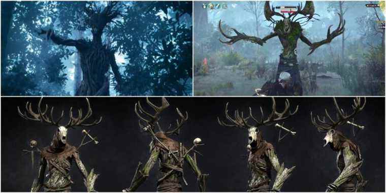 The Witcher : 5 choses que vous ne saviez pas sur Leshy
