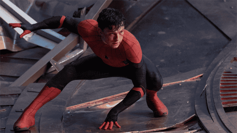 Tom Holland a regardé votre Spider-Man: aucune réaction à la maison
