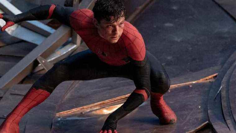 Tom Holland ne sait pas s'il reviendra après Spider-Man : No Way Home
