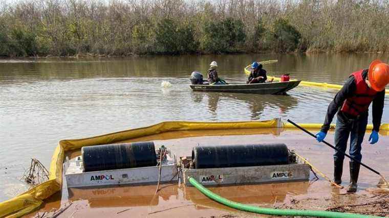 Un déversement de diesel de 315 000 gallons tue des milliers d’animaux en Louisiane