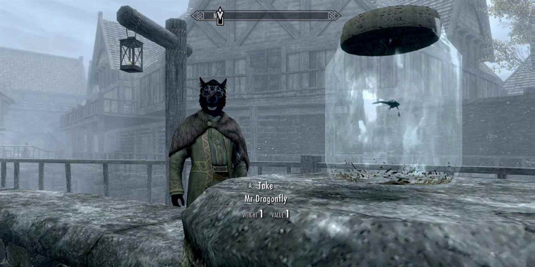 Un joueur de Skyrim monte accidentellement sur une libellule et le paie de sa vie
