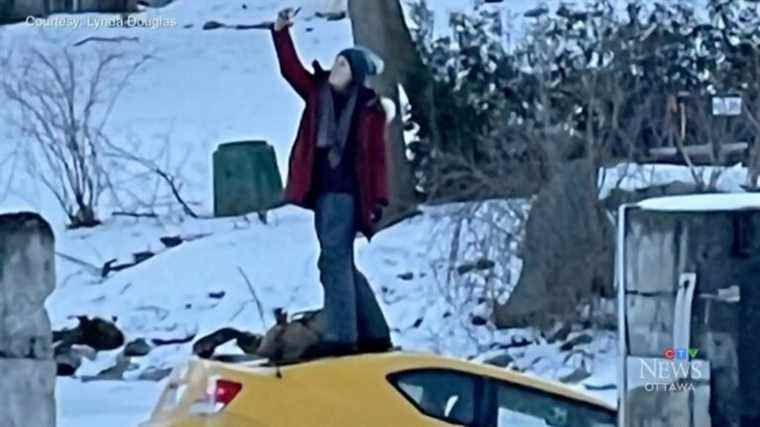 Une femme prend effrontément un selfie alors qu’une voiture coule dans une rivière gelée