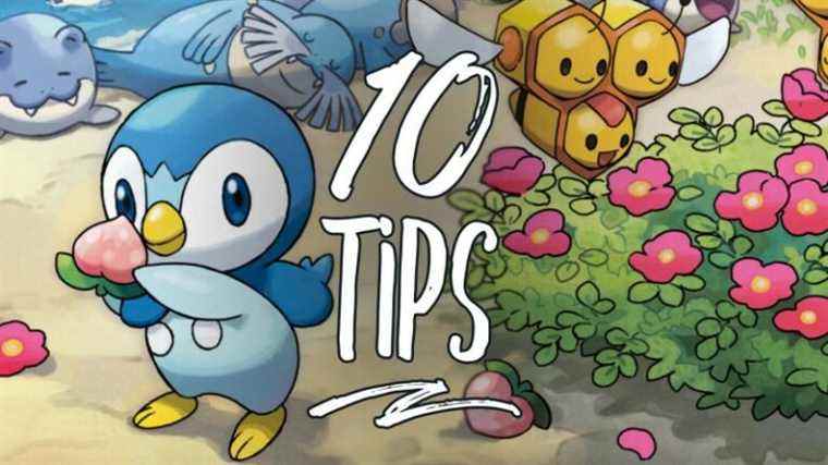 10 trucs et astuces à connaître avant de commencer Pokémon Legends : Arceus
