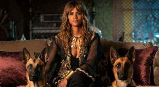 Halle Berry taquine un retour possible en tant que Sofia dans le spin-off de John Wick