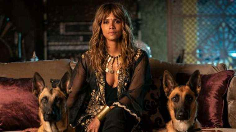 Halle Berry taquine un retour possible en tant que Sofia dans le spin-off de John Wick
