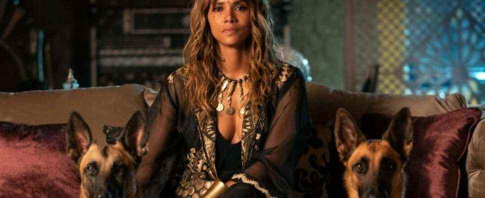 Halle Berry taquine un retour possible en tant que Sofia dans le spin-off de John Wick