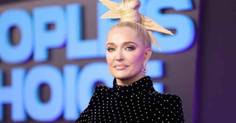 Erika Jayne n'est pas tirée d'affaire dans une affaire de détournement de fonds en cours
