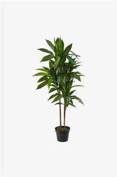 Plante artificielle en soie Dracaena presque naturelle de 43 pouces