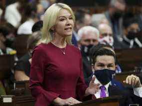 Candice Bergen est officiellement la nouvelle chef par intérim des conservateurs.  Députée manitobaine qui s'est lancée en politique en travaillant sur la campagne de Stephen Harper pour devenir chef conservateur, elle est souvent confondue sur les réseaux sociaux avec l'actrice Murphy Brown du même nom.