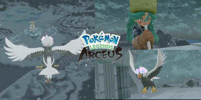 Pokemon Legends: Arceus - Comment voler
