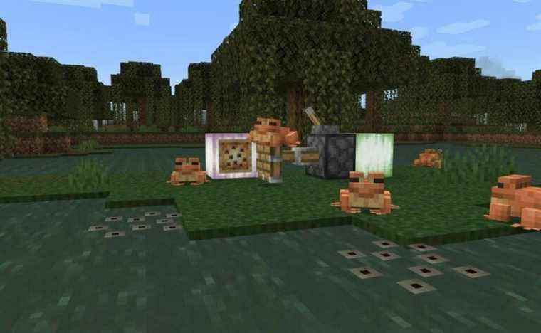 Minecraft: Bedrock Edition Beta 1.18.20.23 inclut plus de correctifs de grenouille de ‘The Wild Update’