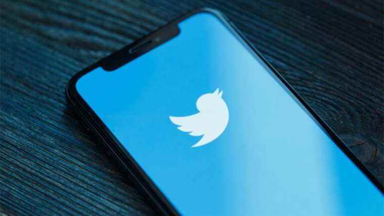 Twitter déploie des votes négatifs pour tous – ce que vous devez savoir