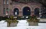 Jardinières lourdes le long du périmètre de Queen's Park à Toronto, Ont.  le mercredi 2 février 2022. Ernest Doroszuk/Toronto Sun/Postmedia