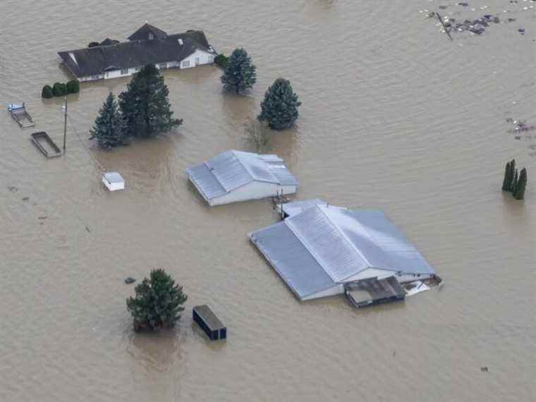 Les agriculteurs de la Colombie-Britannique recevront un programme de récupération après les inondations de 228 millions de dollars